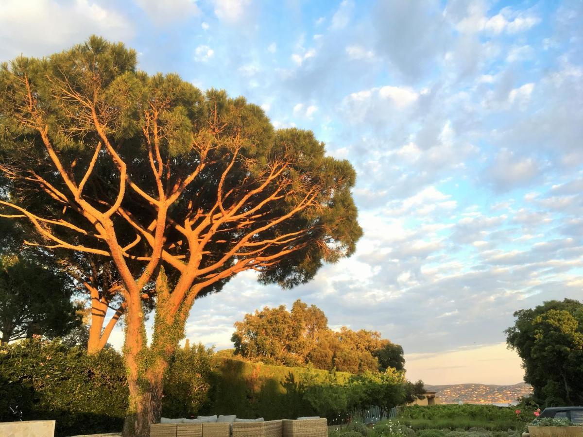 Lovely "Provence" Villa With Sea View, Private Heated Pool, Airco And Beautiful Garden Grimaud Exterior foto