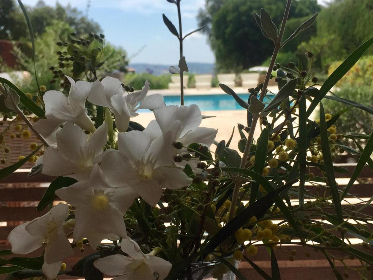 Lovely "Provence" Villa With Sea View, Private Heated Pool, Airco And Beautiful Garden Grimaud Exterior foto